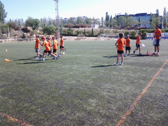 Distribuidos en el campo